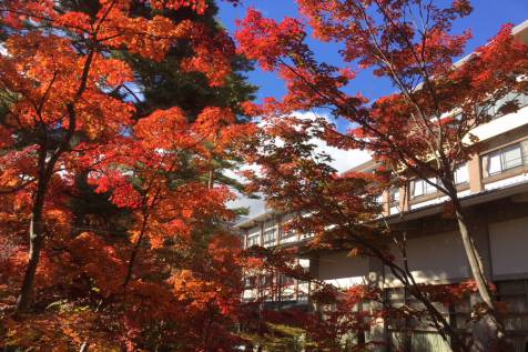 庭園の紅葉