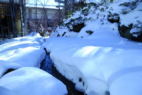 こんもりと新雪に覆われた庭園