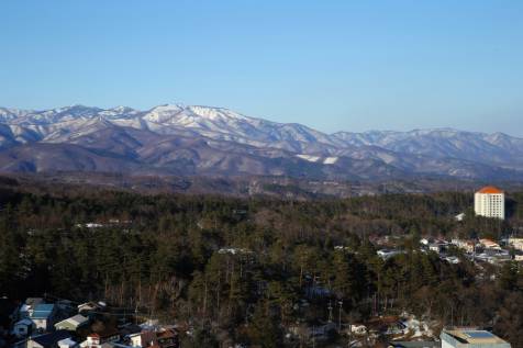 山側の風景