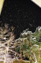 雪の芸術
