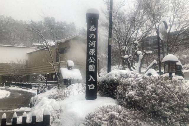 ここが入口です!