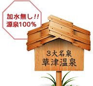 加水無し!!源泉100% ３大名泉 草津温泉